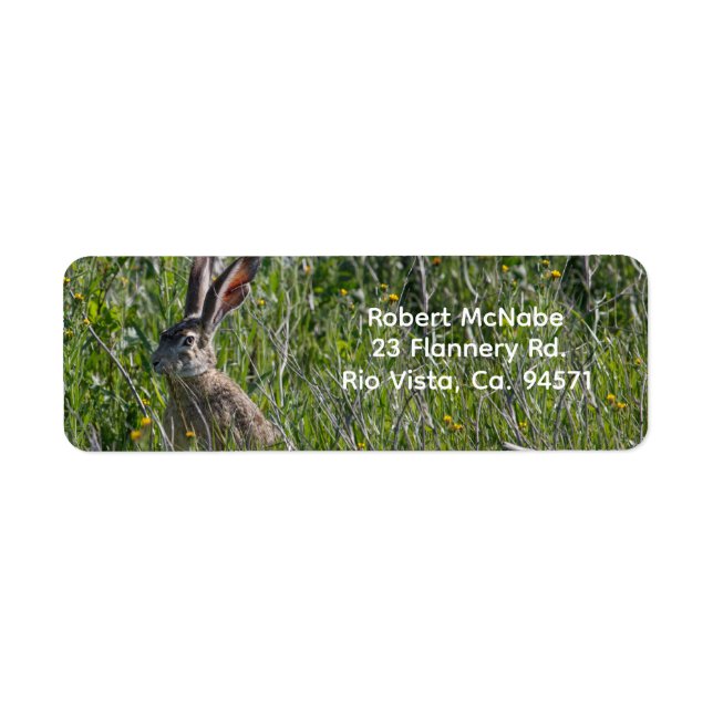 Black-Tailed Jackrabbit Return Address Label (Front)