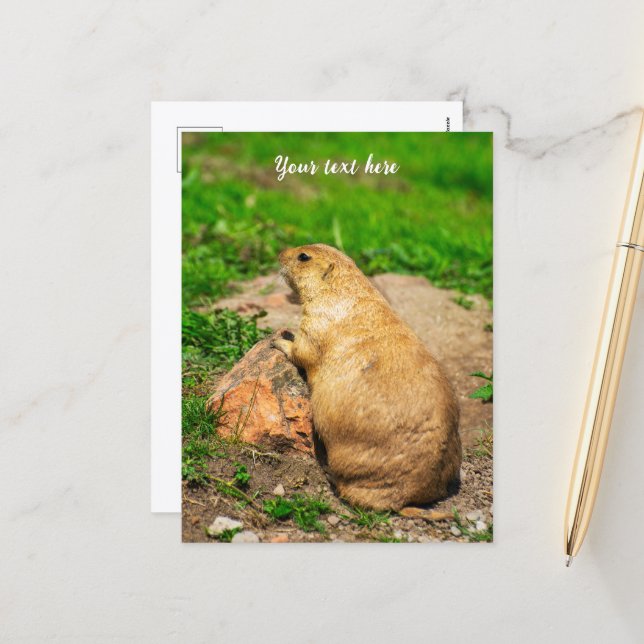Black-Tailed Prairie Dog Holiday Postcard (Front/Back In Situ)