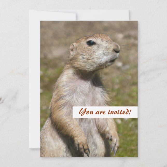 Black-tailed prairie dog invitation (Front)