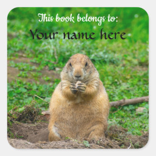 Black-tailed Prairie Dog Square Sticker