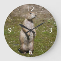 Black-Tailed Prairie Dog Wildlife Photo