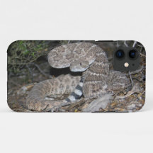 Black-tailed Rattlesnake