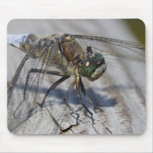 Black-tailed Skimmer Mouse Mat
