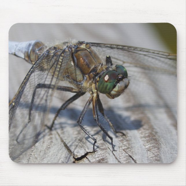 Black-tailed Skimmer Mouse Mat (Front)