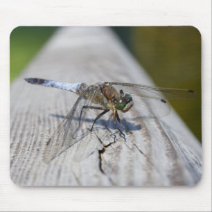 Black-tailed Skimmer Mouse Mat