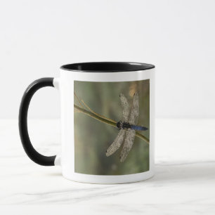 Black-tailed Skimmer Mug