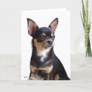 Black & Tan Chihuahua card