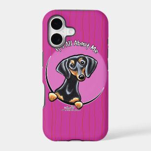 Black Tan Dachshund IAAM