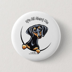 Black Tan Dachshund Its All About Me 6 Cm Round Badge