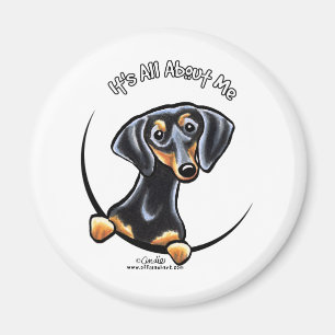 Black Tan Dachshund Its All About Me Magnet