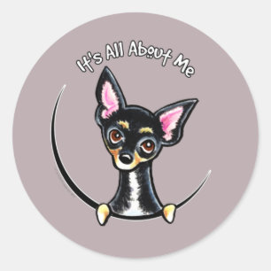 Black Tan Smooth Chihuahua IAAM Classic Round Sticker