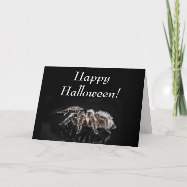 BLACK TARANTULA, HALLOWEEN, BLANK GREETING CARD (Front)