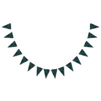 Black Teal Rose Gothic Elegant Wedding