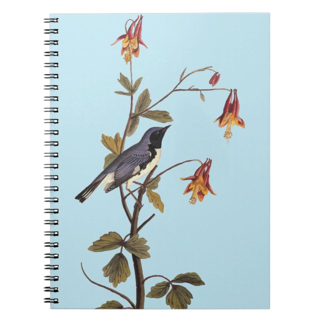 Black-Throated Blue Warbler Audubon Bird Lover Notebook (Front)