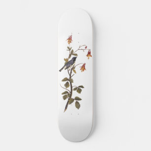 Black-Throated Blue Warbler Audubon Bird Lover Skateboard