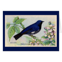 Black Throated Blue Warbler Bird Thank You Card
