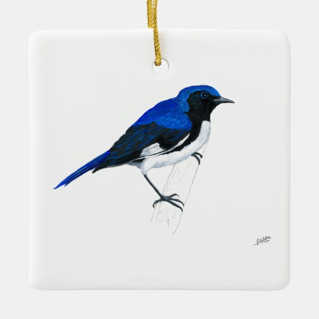 Black-throated blue Warbler Ceramic Ornament (Front)