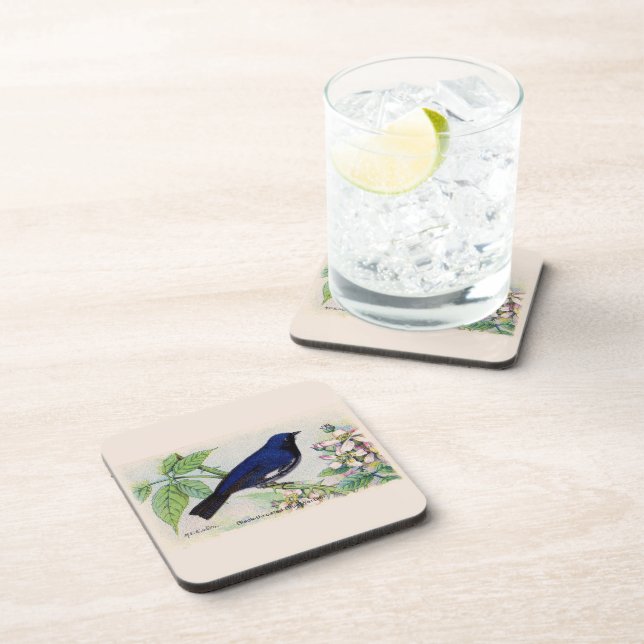 Black Throated Blue Warbler Coaster (Right Side)