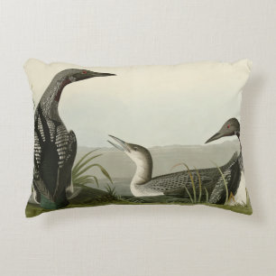 Black-Throated Diver Loon Audubon Birds of America Decorative Cushion