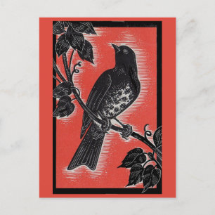 black thrush with red postcard