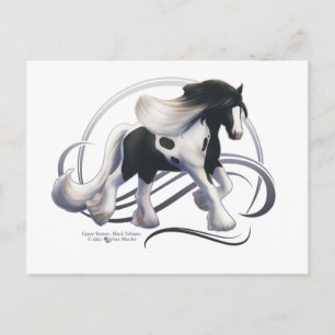 Black Tobiano Gypsy Vanner Horse Postcard