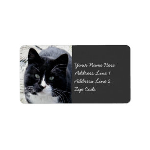 Black Tom Cat with White Markings Label