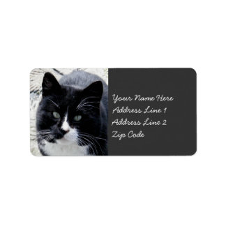 Black Tom Cat with White Markings Label