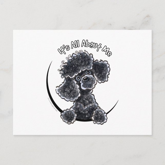 Black Toy Poodle IAAM Postcard (Front)
