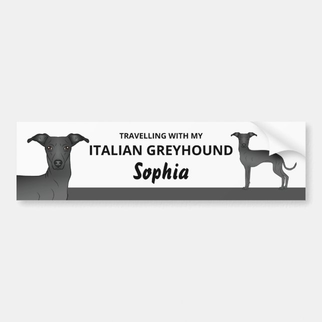 Black - Travelling With My Italian Greyhound Dog Bumper Sticker (Front)