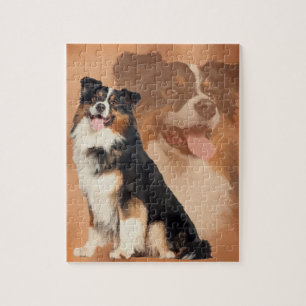Black tricolor Australian Shepherd - Aussie Jigsaw Puzzle