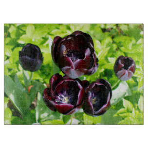 Black Tulips from Holland Cutting Board
