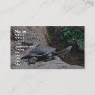 Black Turtle With Long Neck On The Rocks Business Card