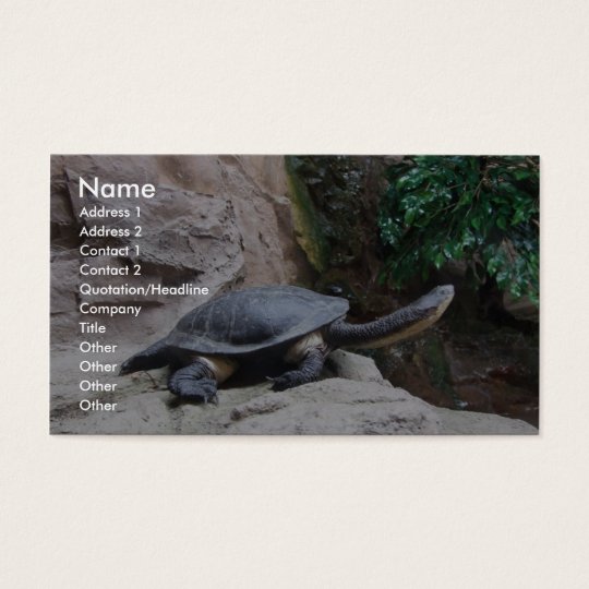 Black Turtle With Long Neck On The Rocks Business Card