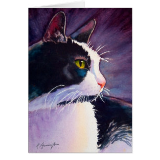 Black Tuxedo Cat in Stormy Mood