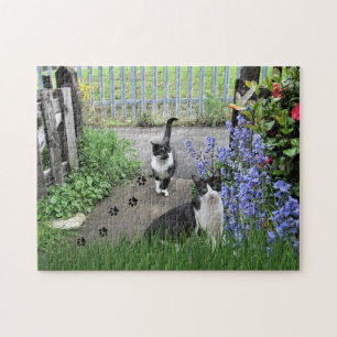 Black Tuxedo Cats in Garden Jigsaw Puzzle