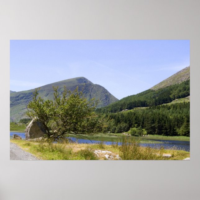 Black Valley Print (Front)