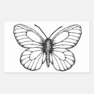 Black-veined white butterfly rectangular sticker