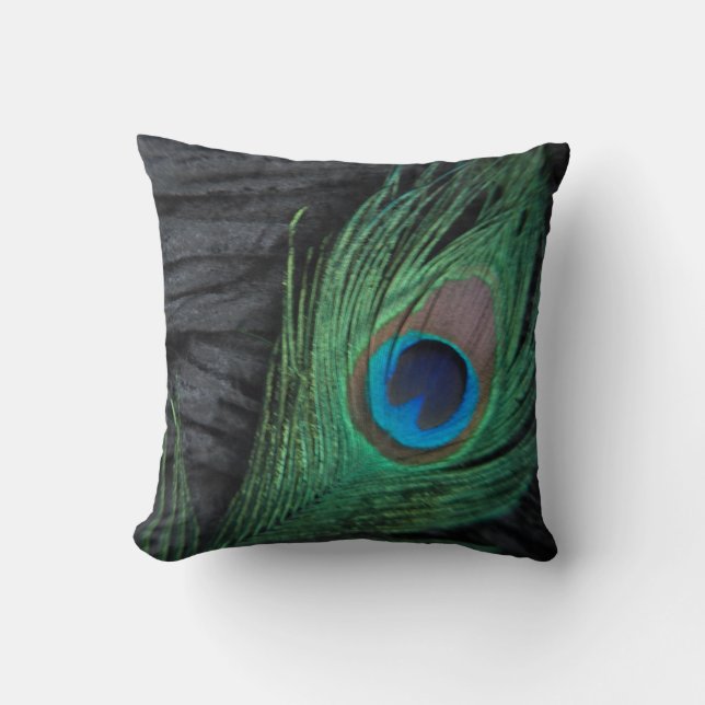 Black Velvet Peacock Feather Still Life Photograph Cushion (Front)