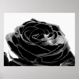 black Velvet Poster