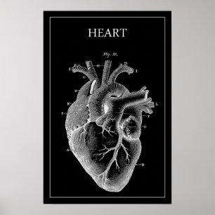 BLACK VINTAGE ANATOMICAL HEART POSTER