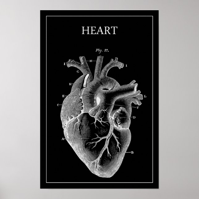 BLACK VINTAGE ANATOMICAL HEART POSTER (Front)