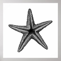 Black Vintage Starfish Bottom Wall Art