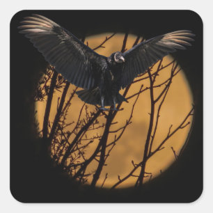 Black Vulture at full Moon Halloween  Square Sticker