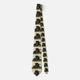Black Vulture, from Audubon's Birds of America Tie