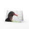 Black Vulture Greeting Card