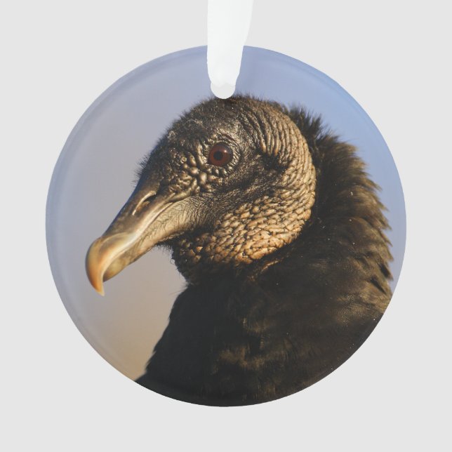 black vulture ornament (Front)