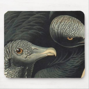 Black Vultures, John James Audubon Mouse Mat
