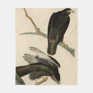 Black Warrior (Red-tailed Hawk) from Audubon Birds Fleece Blanket