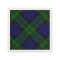 Black Watch Tartan Blue Green Plaid
