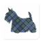 Black Watch Tartan Scottish Terrier